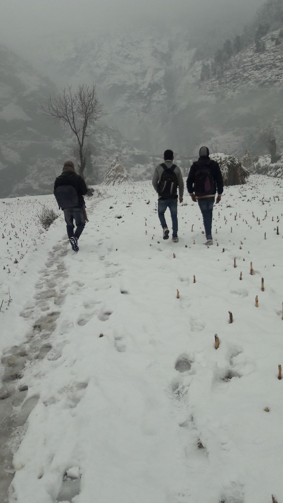 Photo of A memorable trip to Jammu & kashmir with a friend by Nishant Yadav
