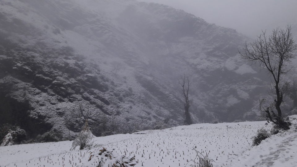 Photo of A memorable trip to Jammu & kashmir with a friend by Nishant Yadav