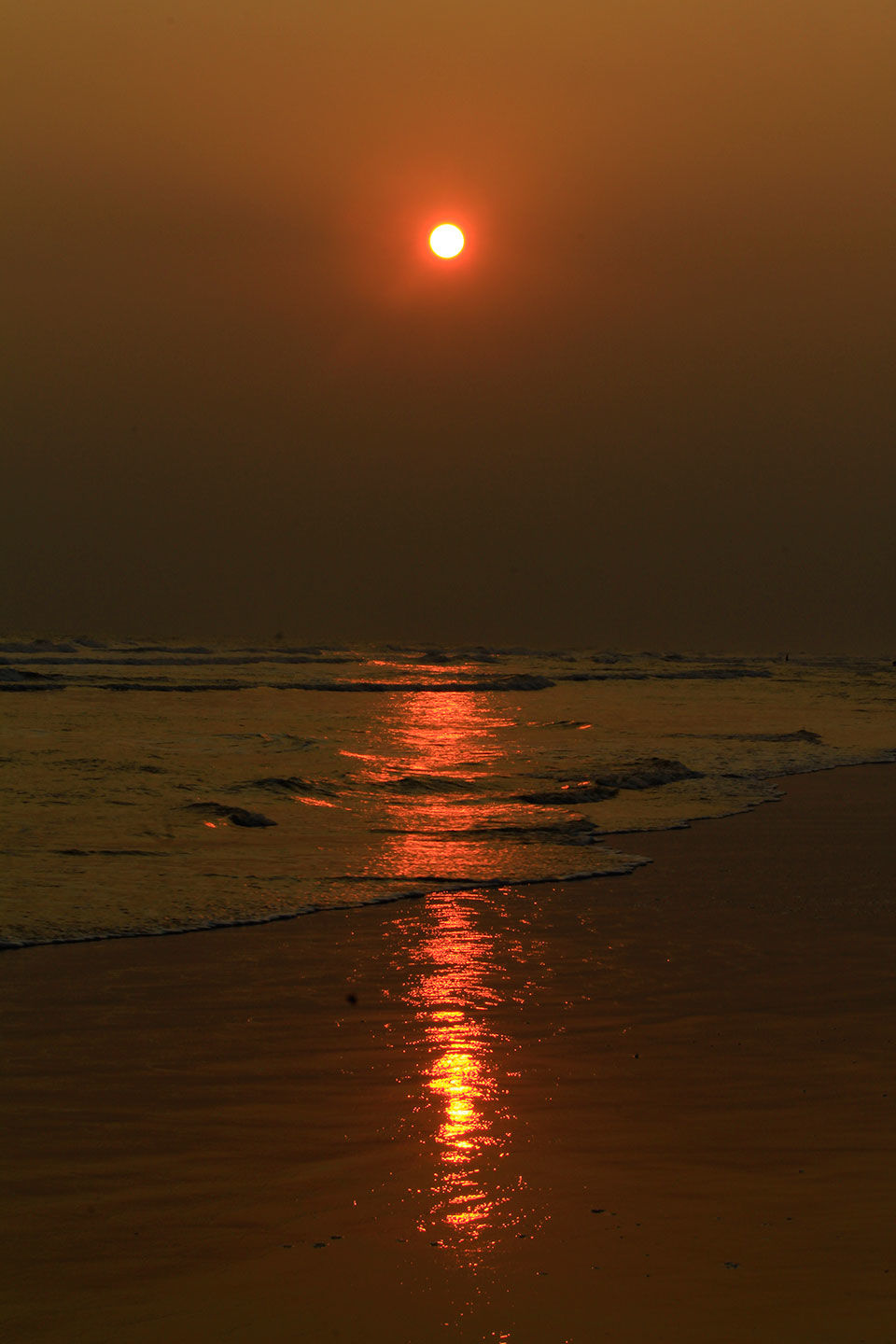 Photo of Chandrabhaga : A day Wrapped in Nature's lap 6/6 by Glance Through Lens