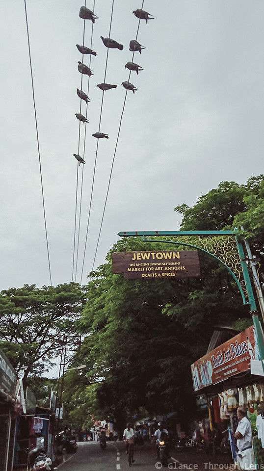 Photo of BACKPACKING KOCHI IN A WEEK 6/24 by Glance Through Lens
