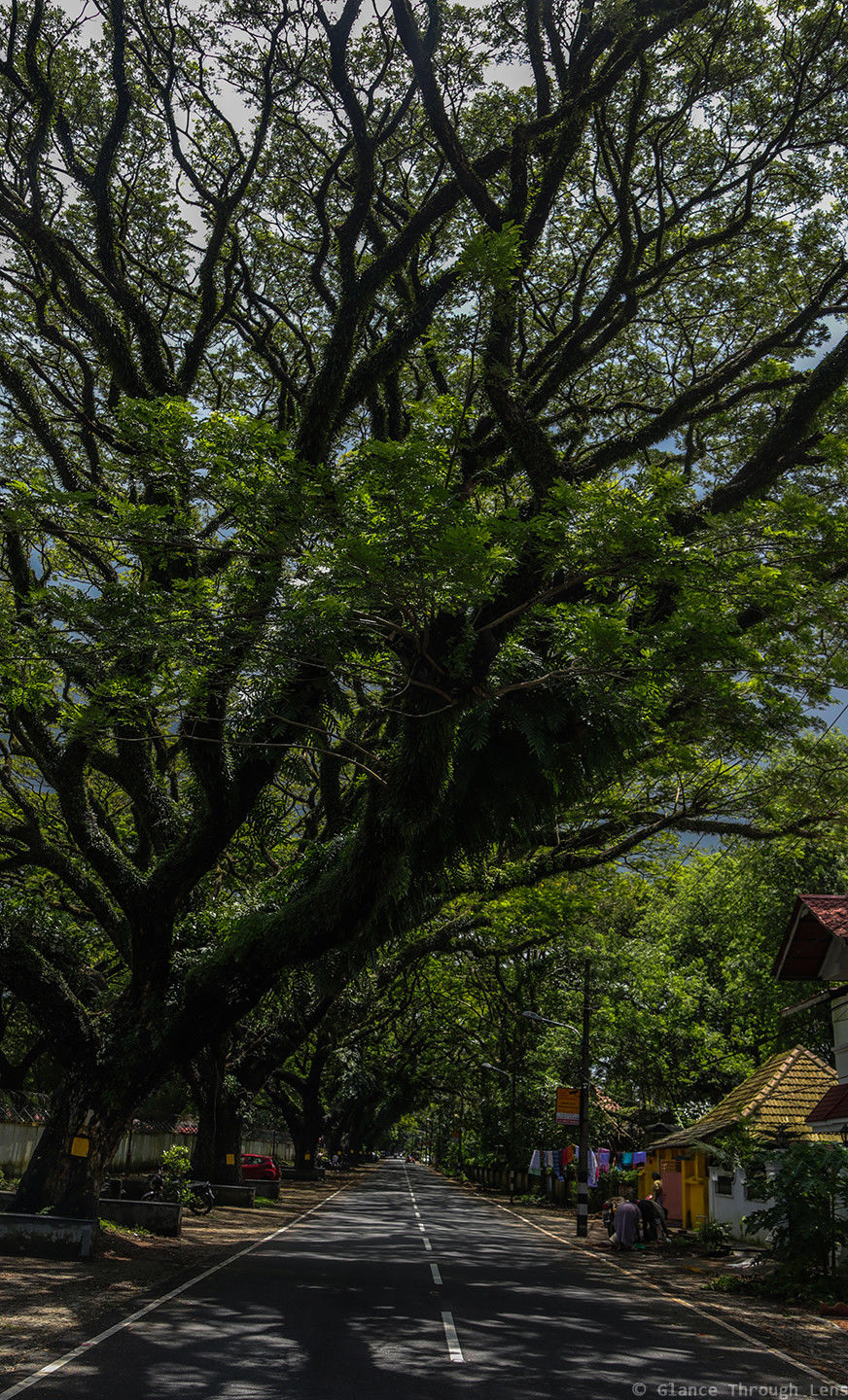 Photo of BACKPACKING KOCHI IN A WEEK 17/24 by Glance Through Lens