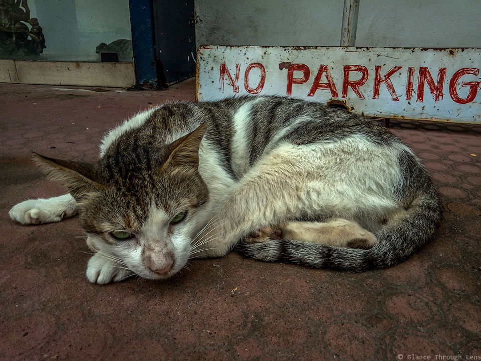 Photo of BACKPACKING KOCHI IN A WEEK 18/24 by Glance Through Lens