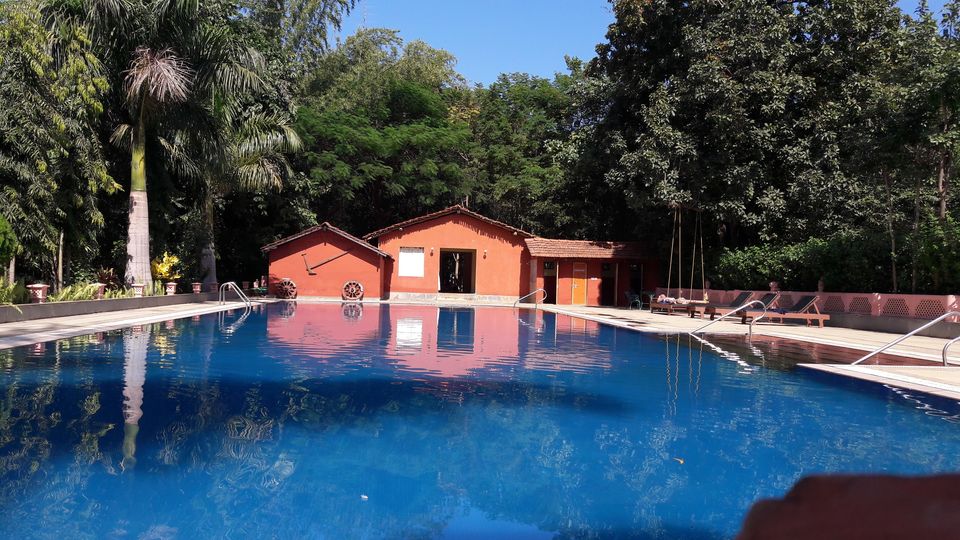 Photo of Kanha - To peace and relaxation by Gargi Mishra