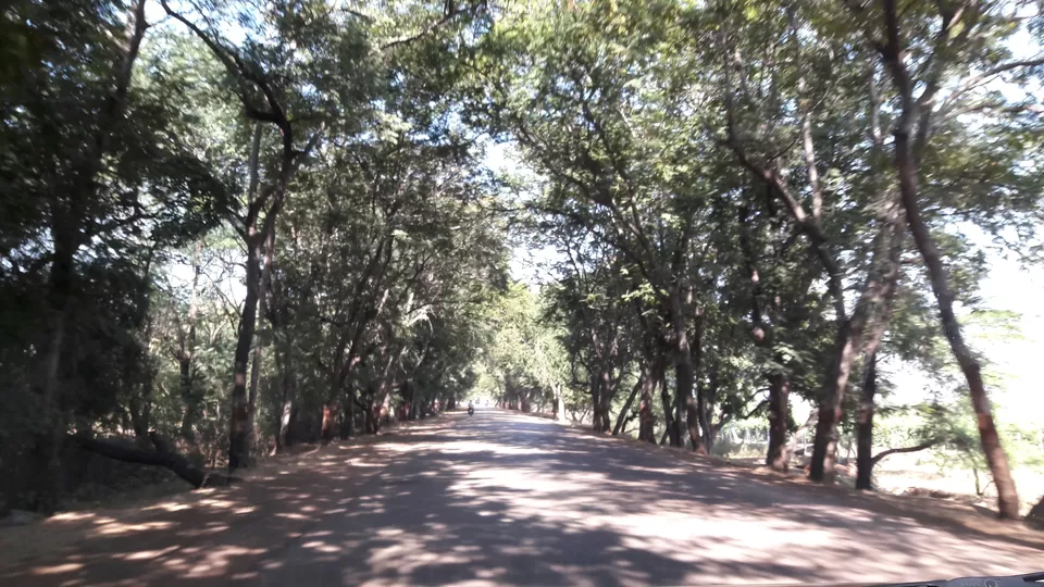Photo of Dhamdha, Chhattisgarh, India by Gargi Mishra