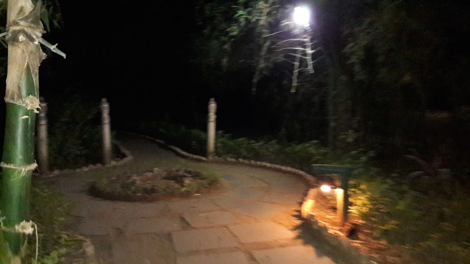 Photo of Kanha Kisli National Park, Mandla, Madhya Pradesh, India by Gargi Mishra