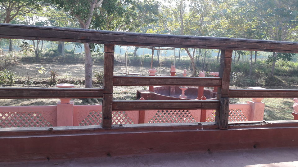 Photo of Kanha - To peace and relaxation by Gargi Mishra