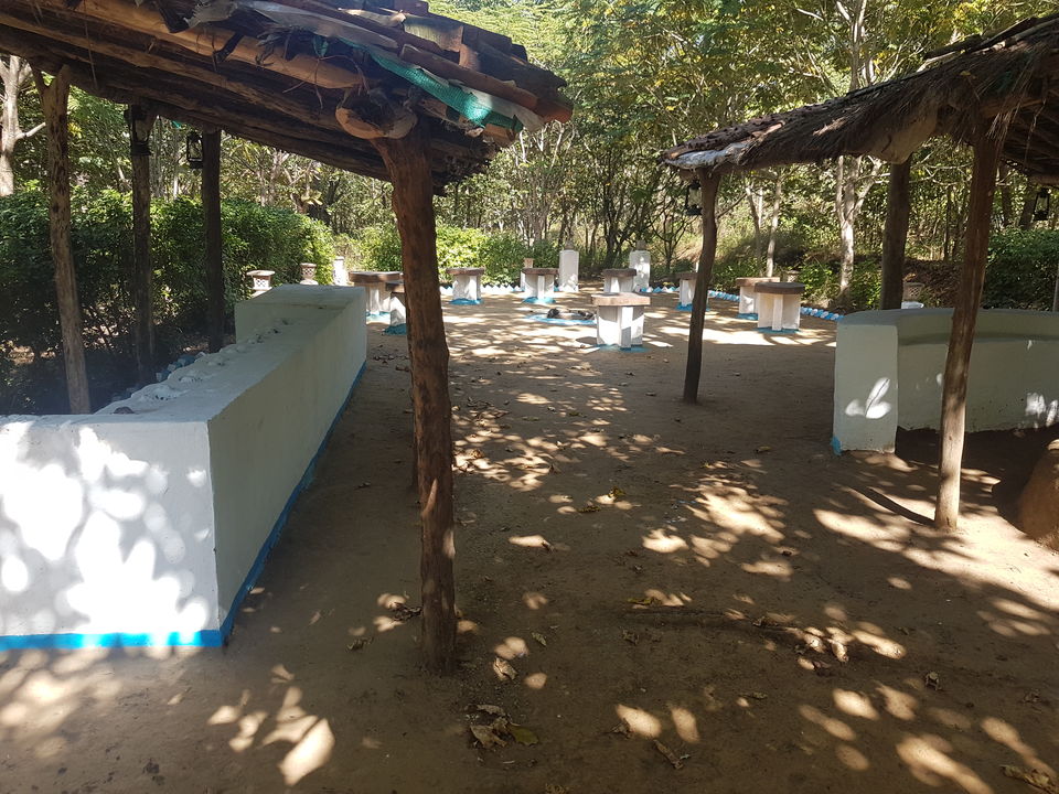 Photo of Kanha - To peace and relaxation by Gargi Mishra