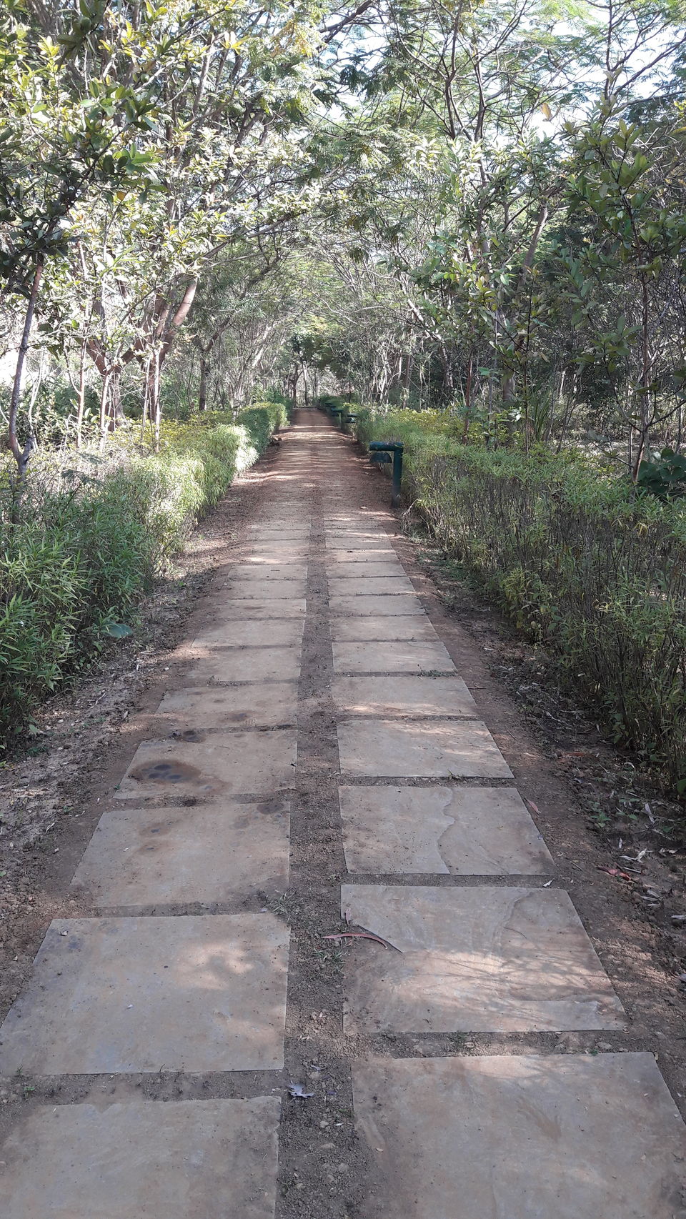 Photo of Kanha - To peace and relaxation by Gargi Mishra