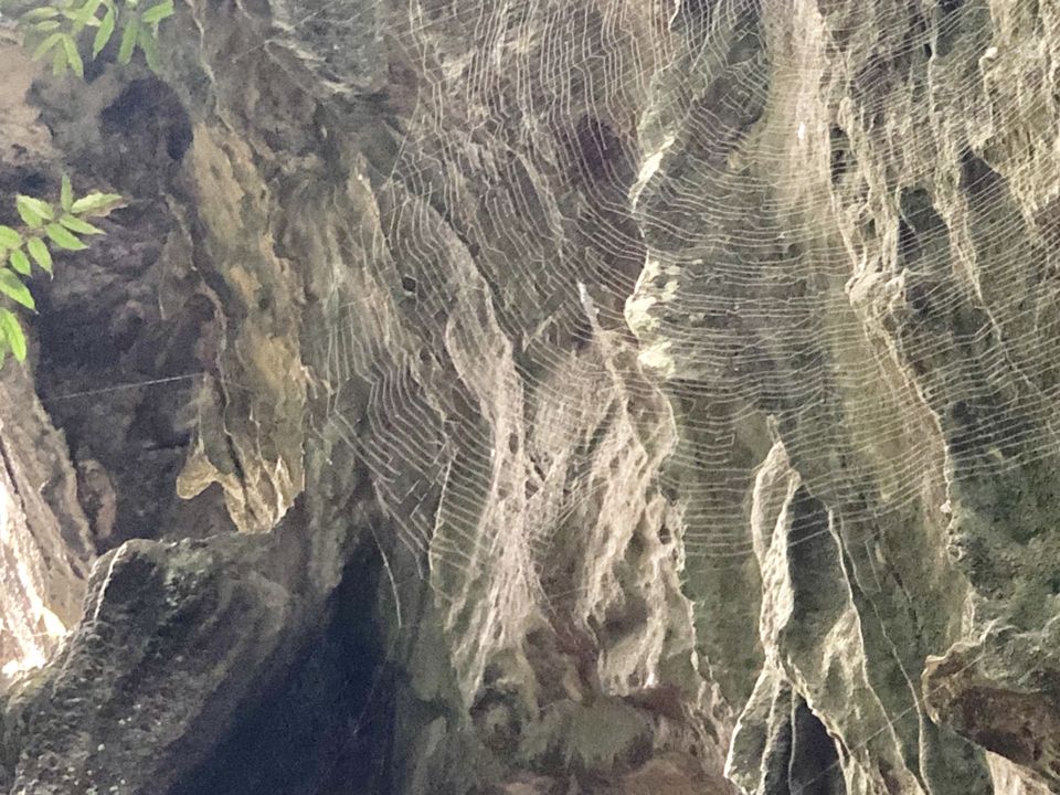 Photo of Krabi Noi, Mueang Krabi District, Krabi, Thailand by Sheetal Jain