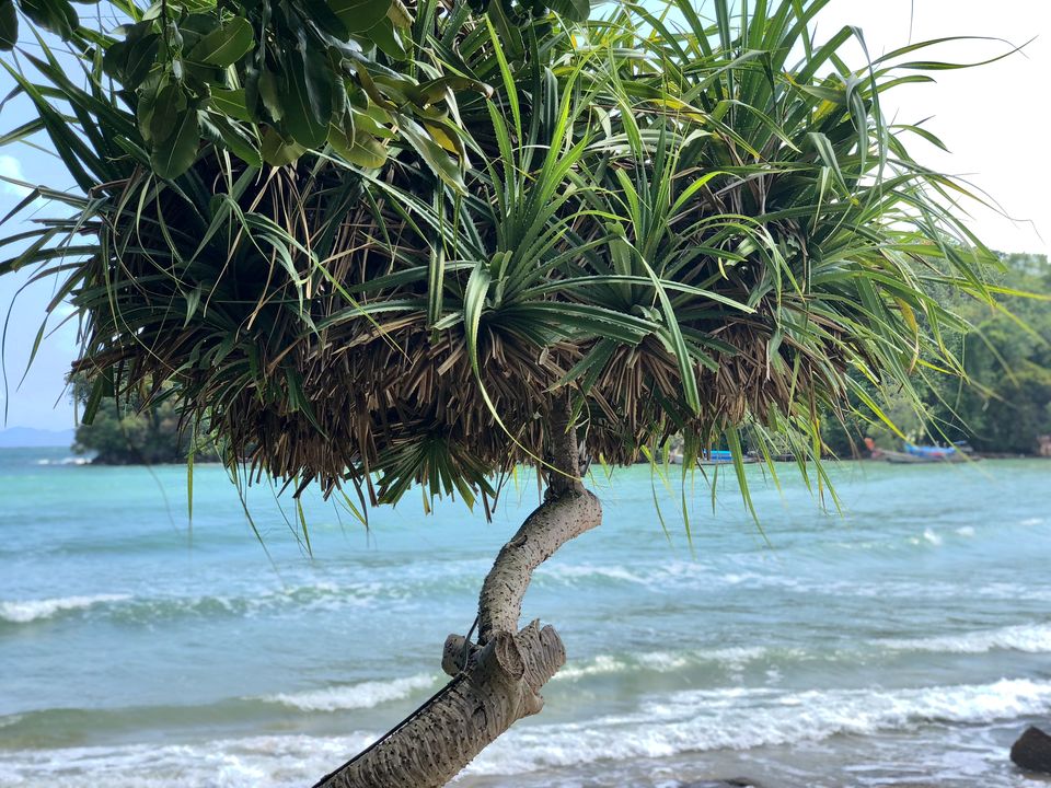 Photo of Krabi Noi, Mueang Krabi District, Krabi, Thailand by Sheetal Jain