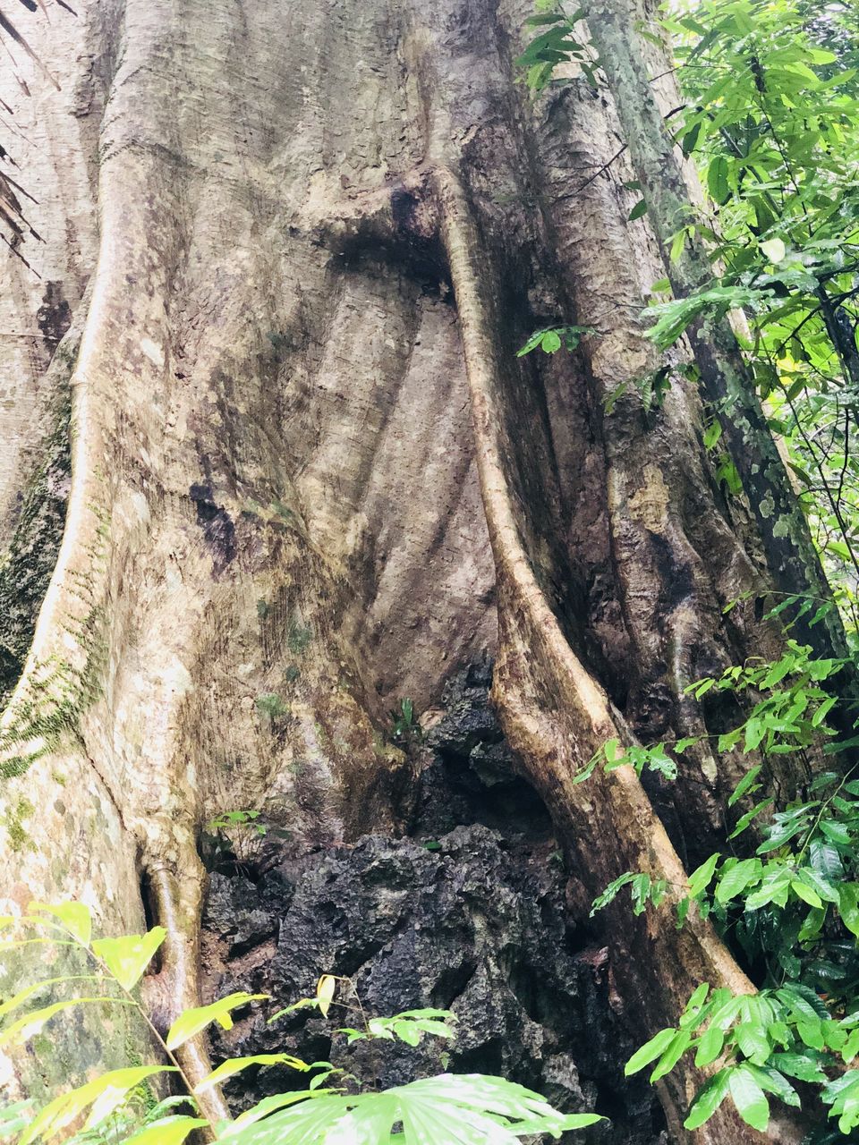 Photo of Krabi Noi, Mueang Krabi District, Krabi, Thailand by Sheetal Jain