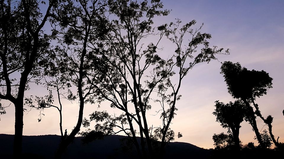 Photo of Almost Tadiandamol peak and more by Manoj Menon
