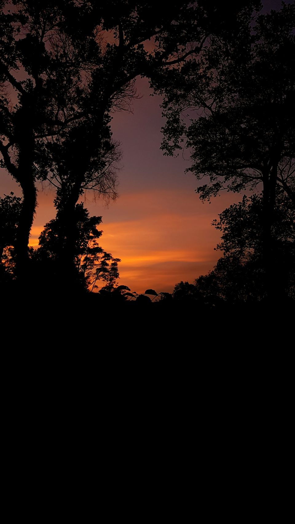 Photo of Almost Tadiandamol peak and more by Manoj Menon