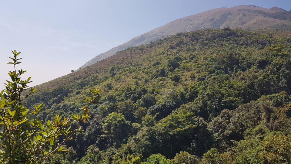 Photo of Almost Tadiandamol peak and more by Manoj Menon