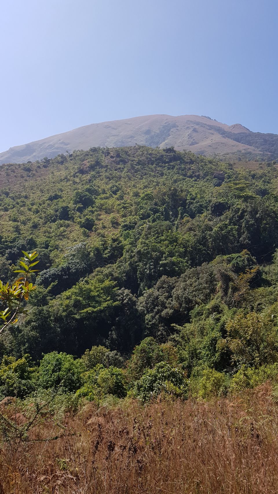Photo of Almost Tadiandamol peak and more by Manoj Menon