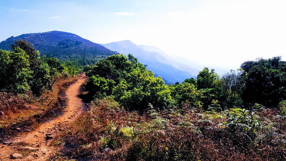 Photo of Almost Tadiandamol peak and more by Manoj Menon