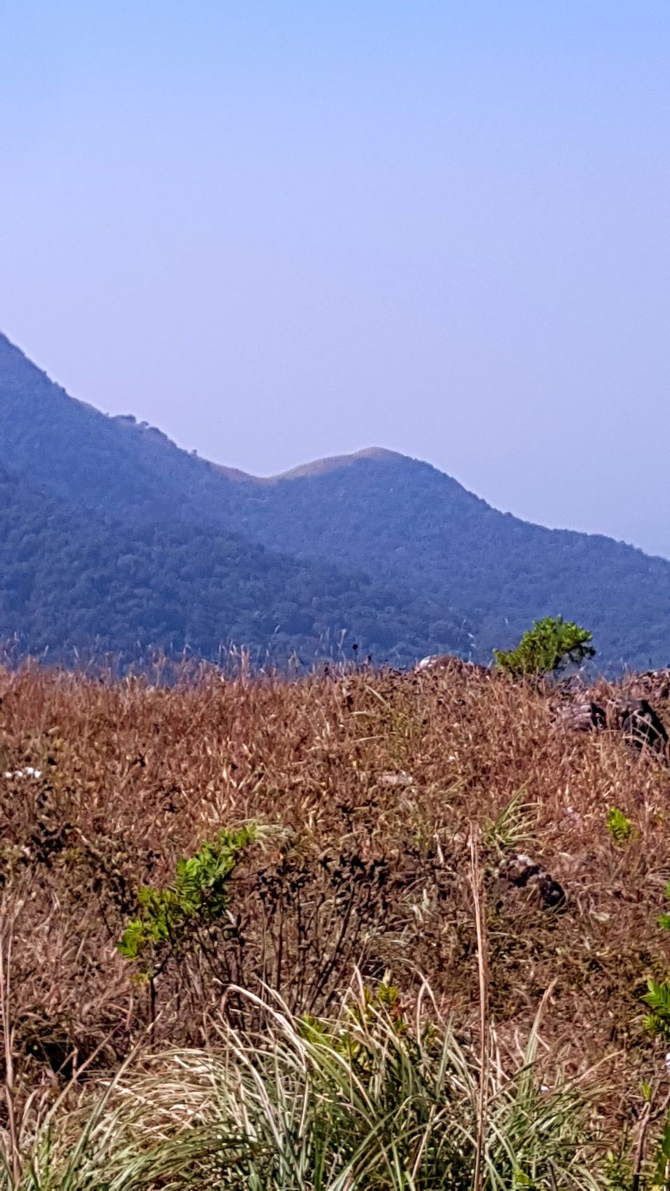 Photo of Almost Tadiandamol peak and more by Manoj Menon
