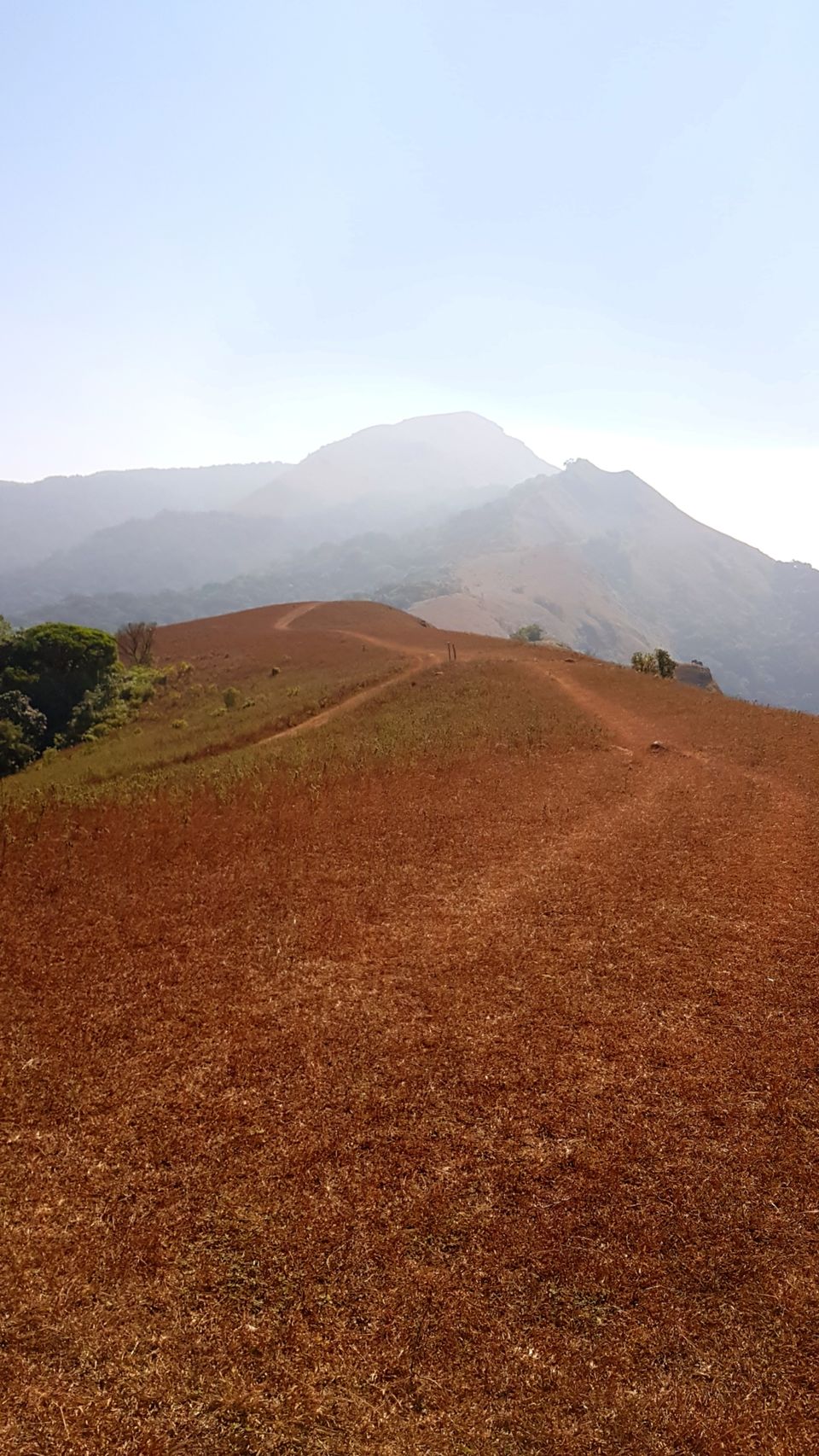 Photo of Almost Tadiandamol peak and more by Manoj Menon