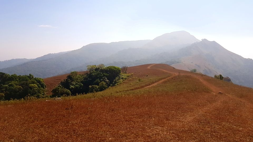 Photo of Almost Tadiandamol peak and more by Manoj Menon