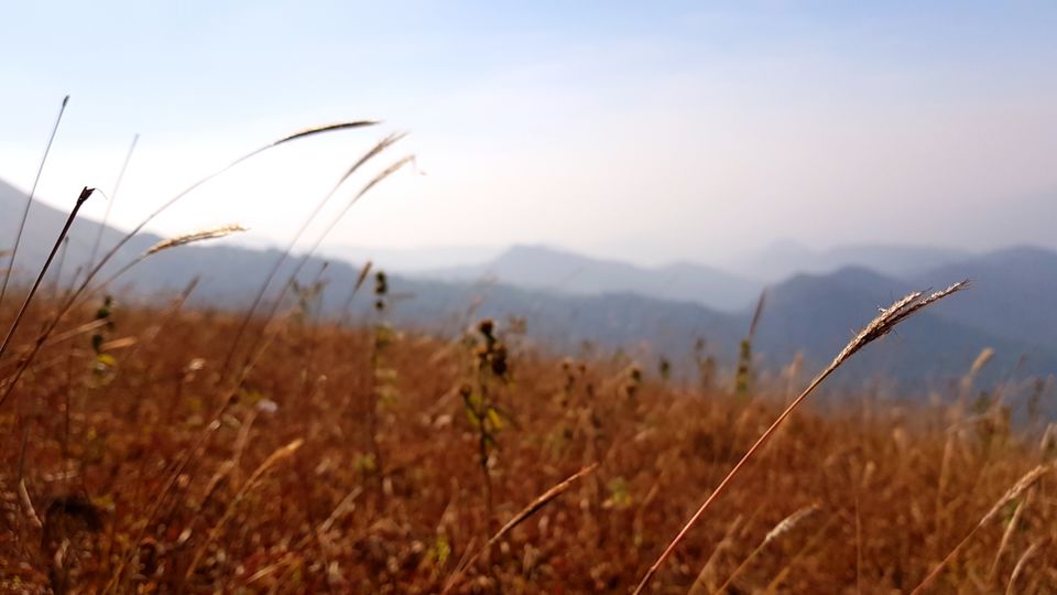 Photo of Almost Tadiandamol peak and more by Manoj Menon