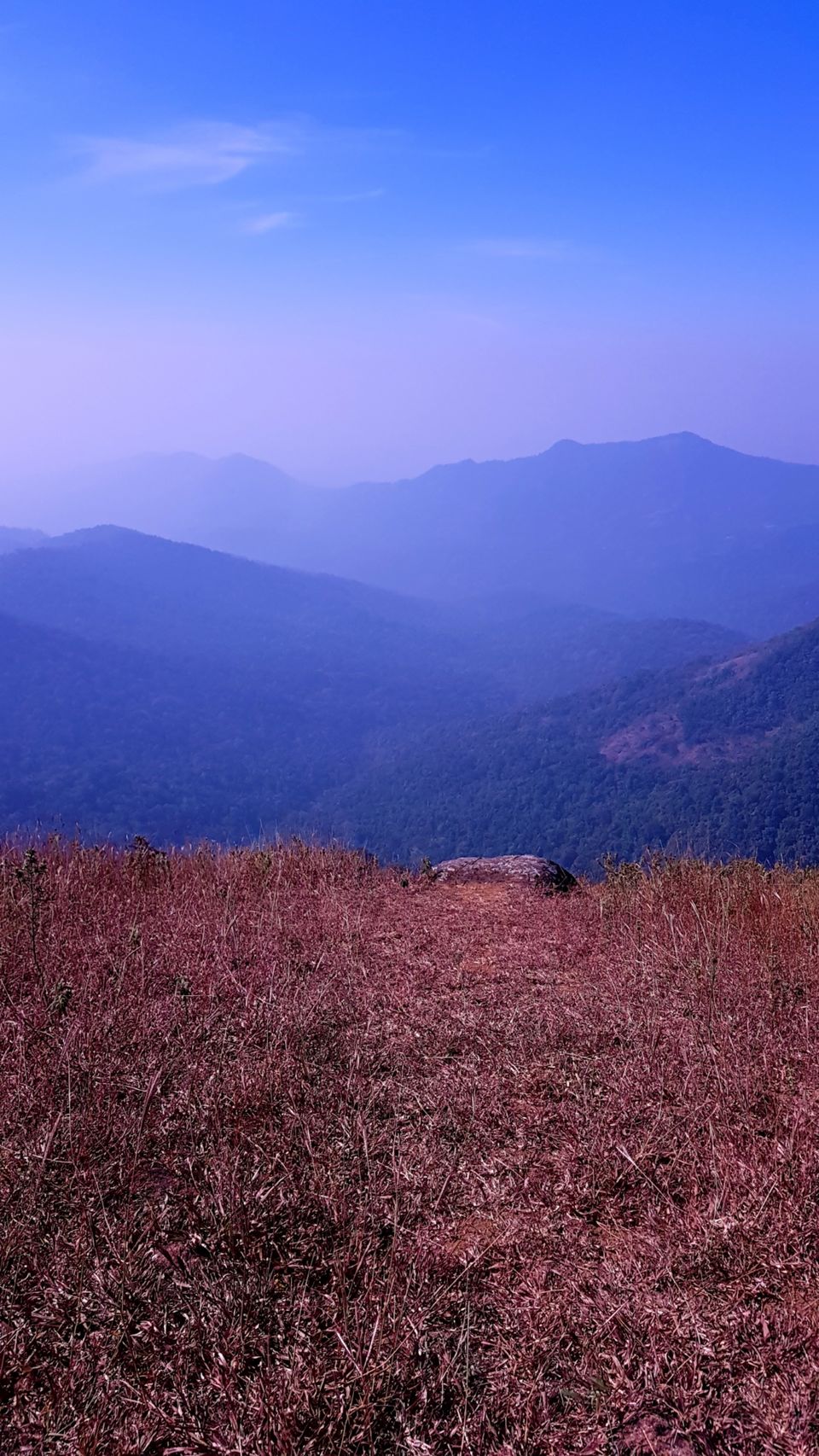 Photo of Almost Tadiandamol peak and more by Manoj Menon