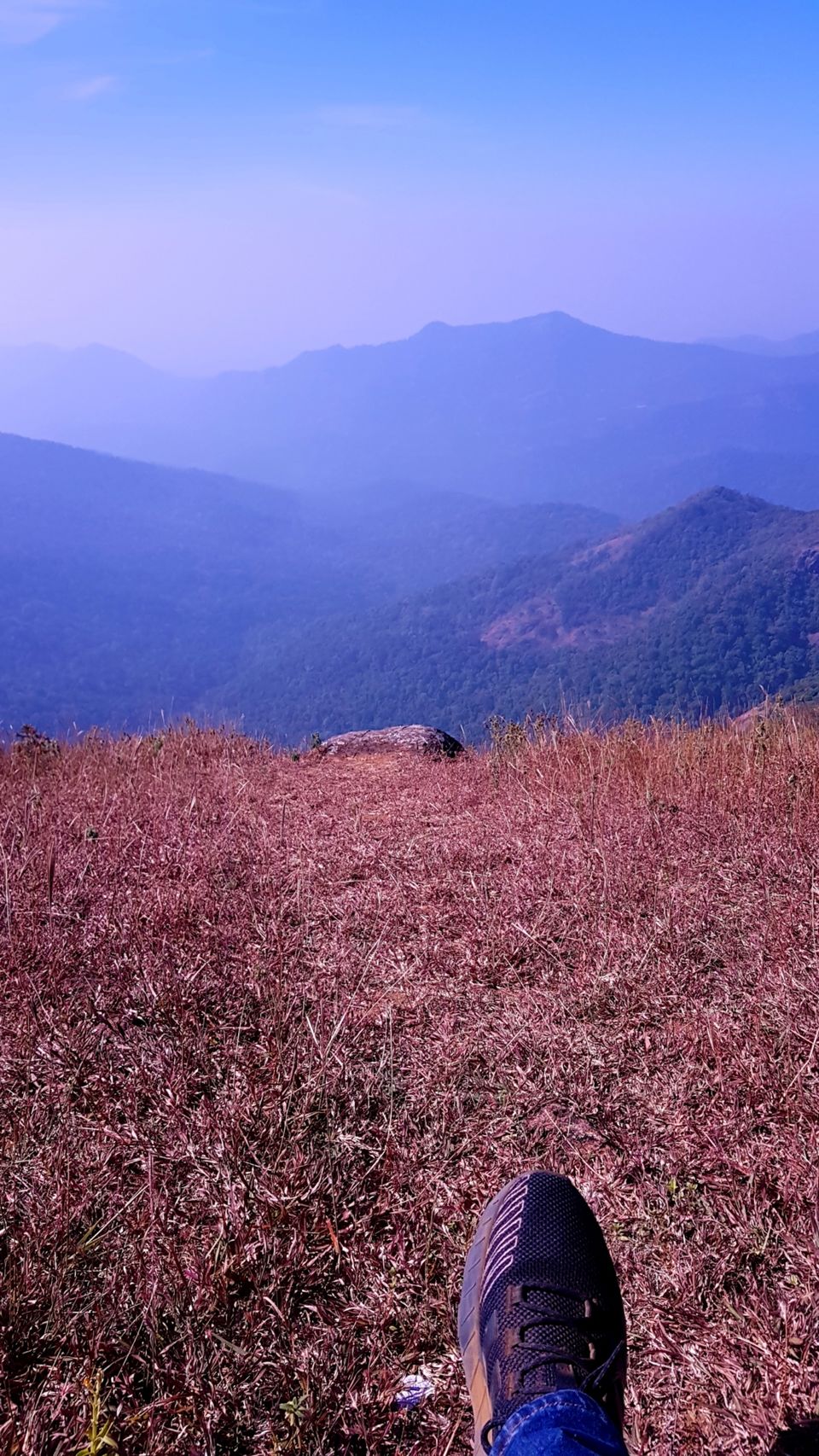Photo of Almost Tadiandamol peak and more by Manoj Menon
