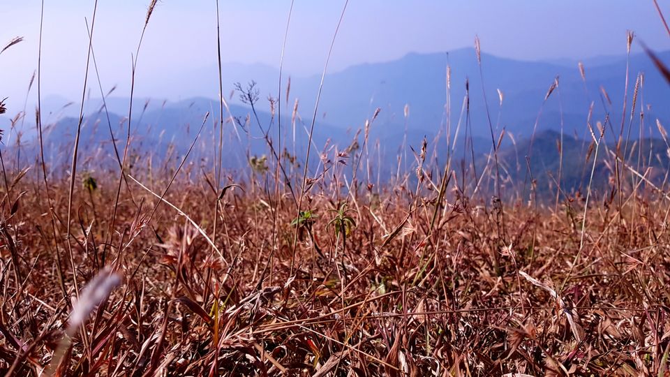 Photo of Almost Tadiandamol peak and more by Manoj Menon