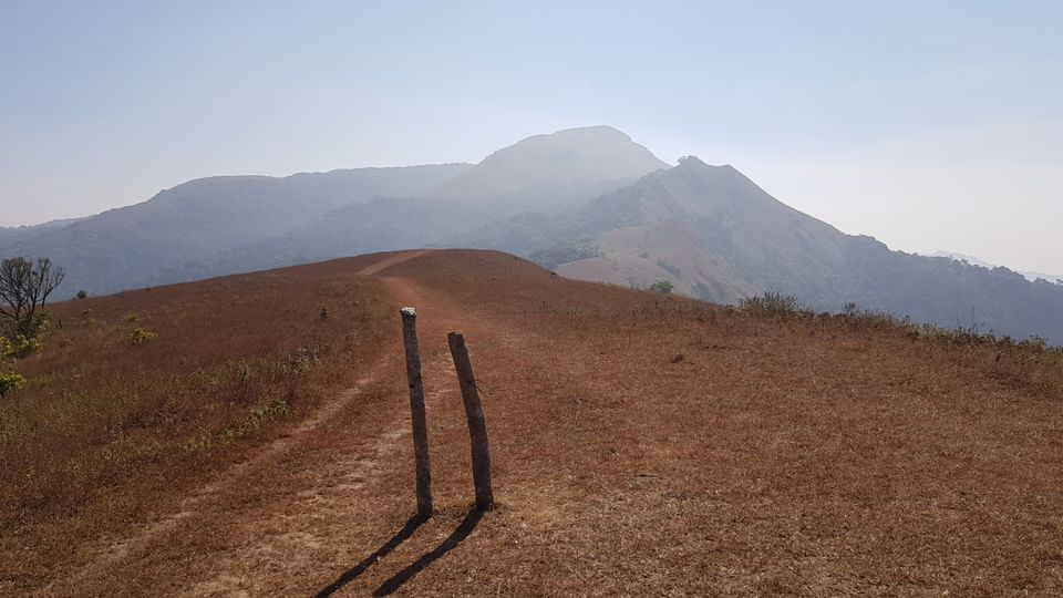 Photo of Almost Tadiandamol peak and more by Manoj Menon