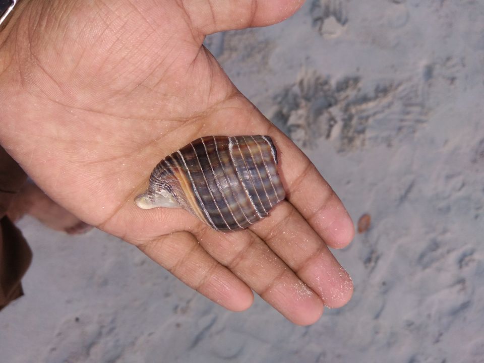 Photo of A Trip to be remembered 31/32 by Sahil Chauhan