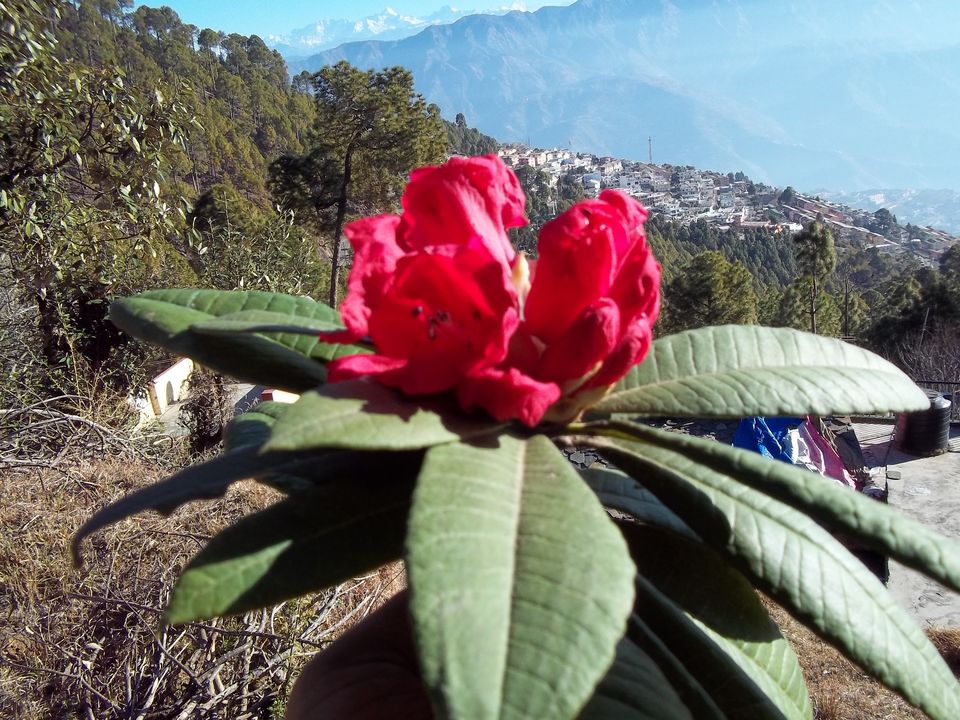 Photo of Exploring Mighty Hills and Green Valleys of Tehri by Sahil Chauhan