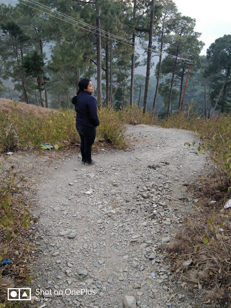 Photo of Nainital, Uttarakhand, India by Mary Martina