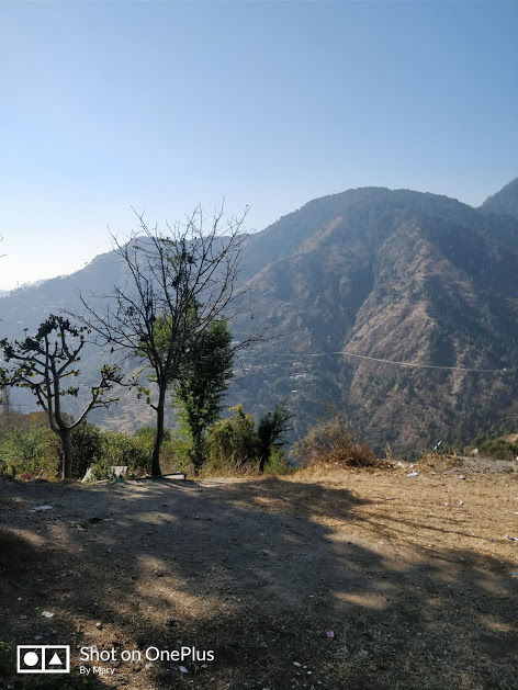 Photo of Nainital, Uttarakhand, India by Mary Martina
