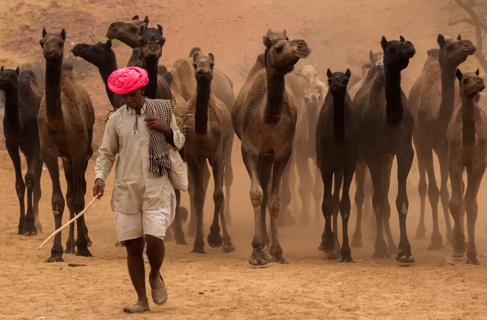 Photo of Bhil, Garasia And Rabari: Meet The Tribes Of Rajasthan At Ghanerao by Mary Martina