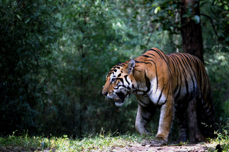Photo of Road trip From Wai To Mumbai? Here Are Your Essential Stopovers by Mary Martina