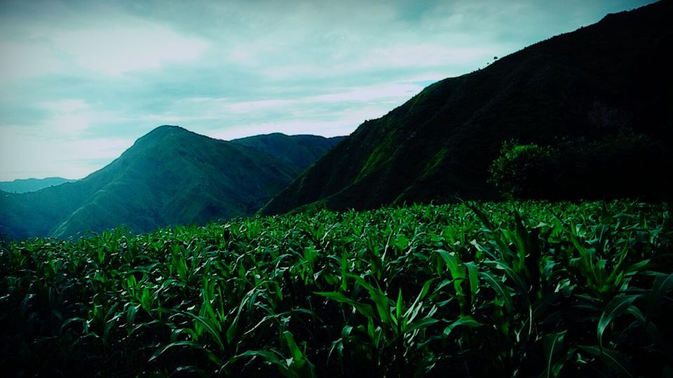 Photo of Uttarakhand, India by Tikam Singh Chauhan