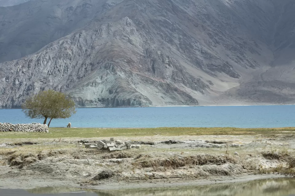 Photo of Pangong Tso by Rajen Parekh