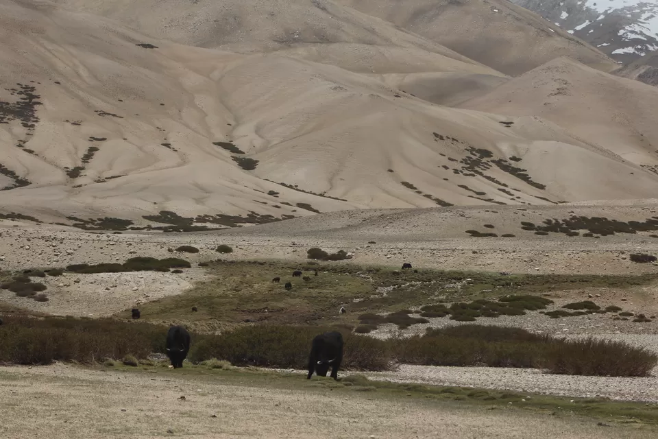 Photo of Rezang La War Memorial, Leh by Rajen Parekh