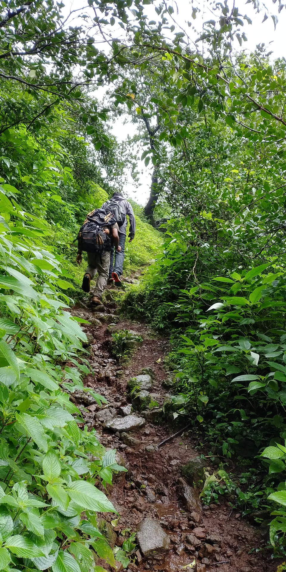 Photo of Memorable Monsoon Trek to BhimaShankar via Bhorgiri by Tejas Gadgil