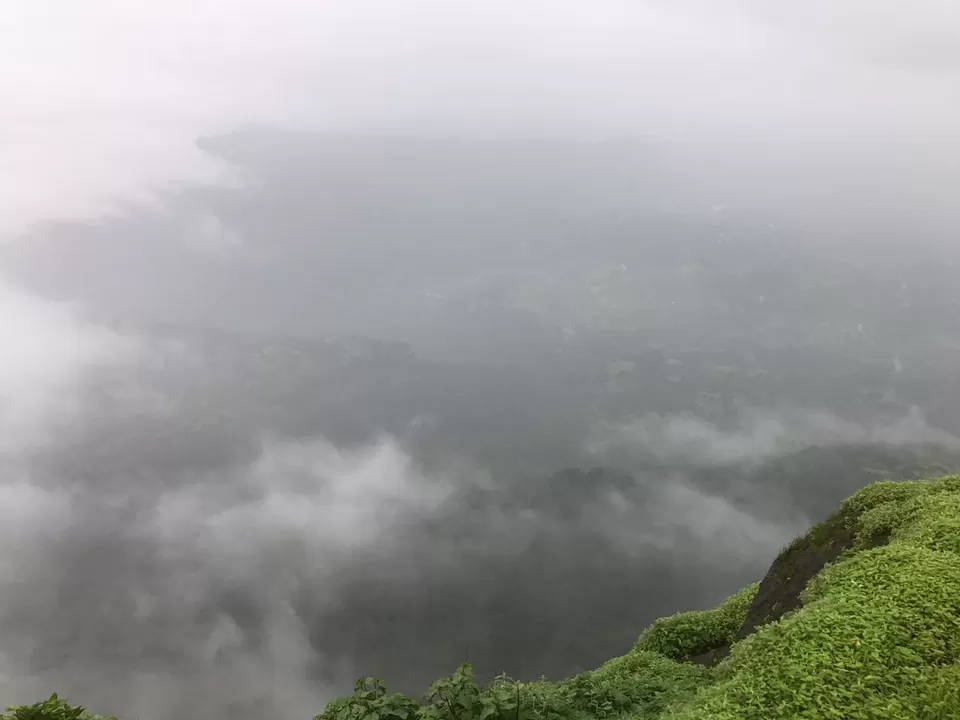 Photo of Nagphani Point, Bhimashankar, Maharashtra, India by Tejas Gadgil