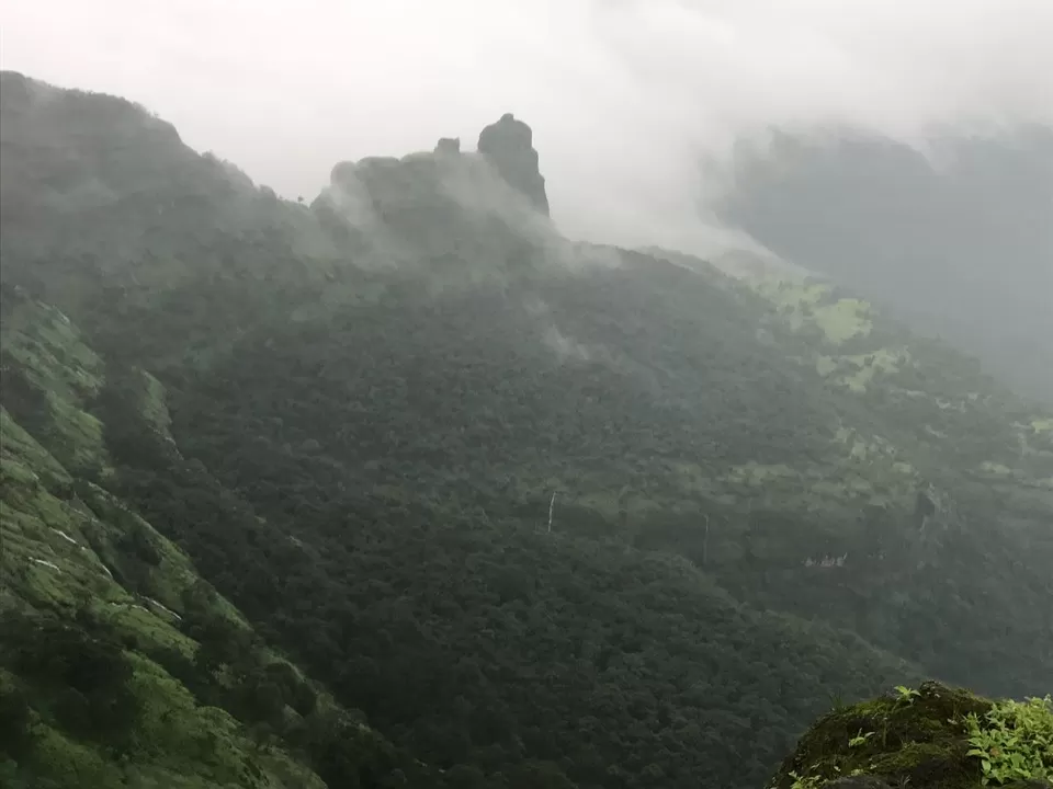 Photo of Nagphani Point, Bhimashankar, Maharashtra, India by Tejas Gadgil