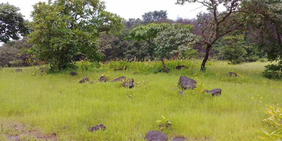 Photo of Hirdi, Maharashtra, India by Tejas Gadgil