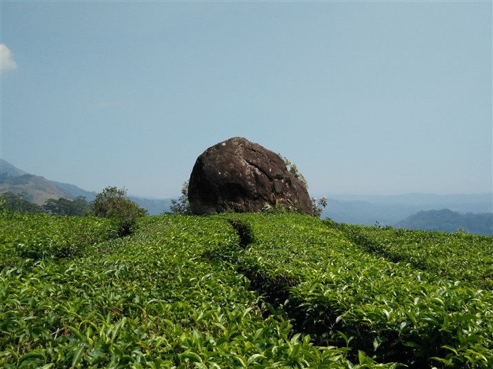 Photo of Day's In Kerala by Komal Talwalkar
