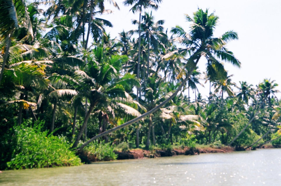 Photo of Day's In Kerala by Komal Talwalkar