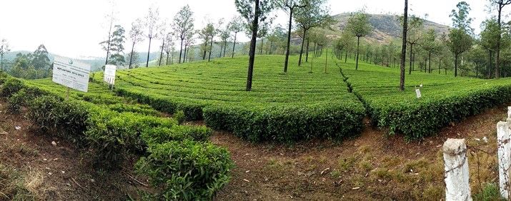 Photo of Days in kerala 5/5 by Komal Talwalkar