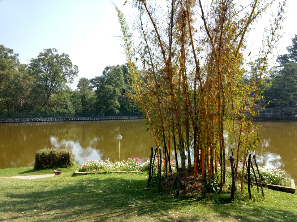 Photo of Ward's Lake, Police Bazar, Shillong, Meghalaya, India by Akshansh Singh