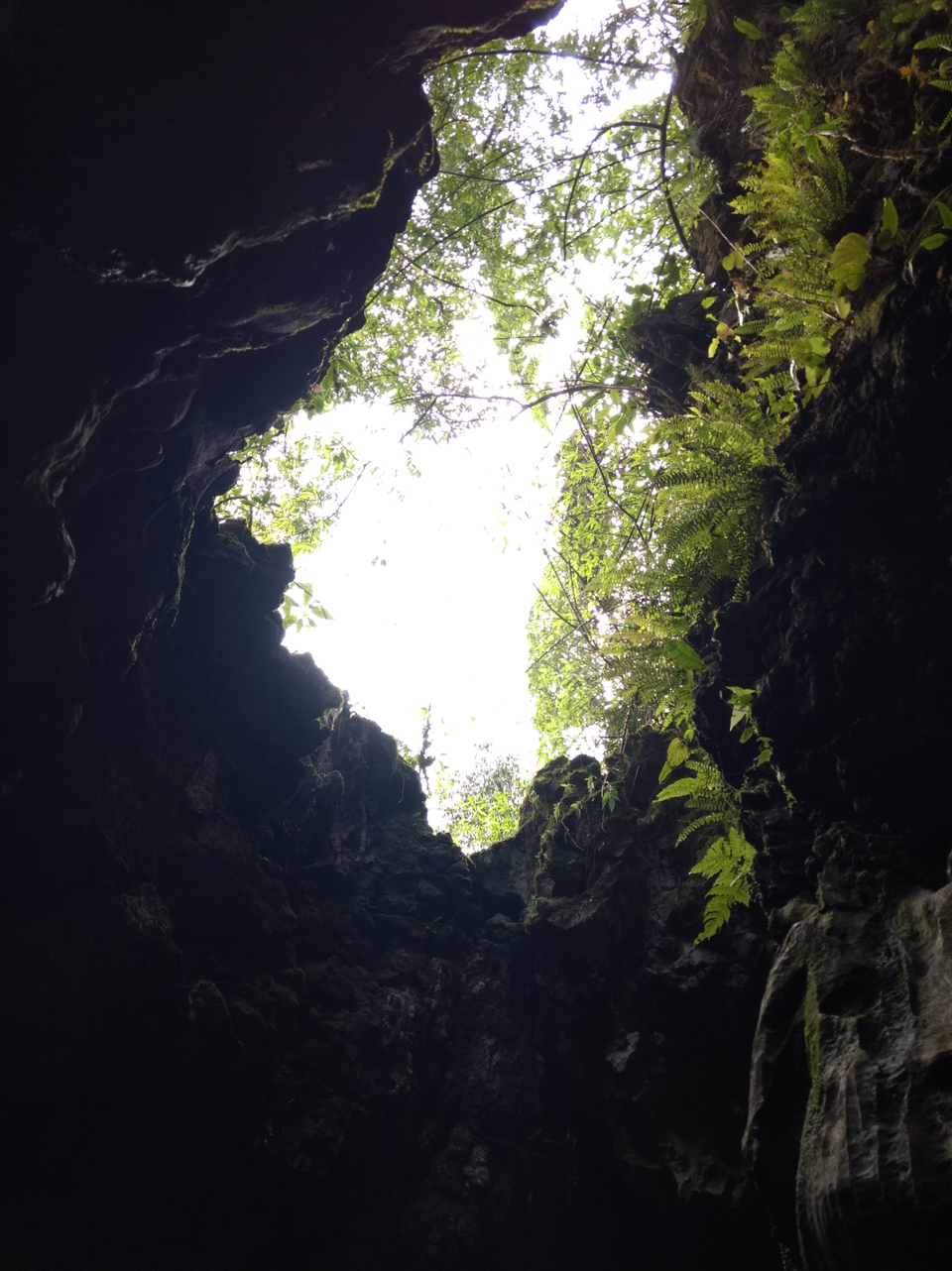 Photo of Mawsmai Cave, Cherrapunjee, Meghalaya, India by Akshansh Singh