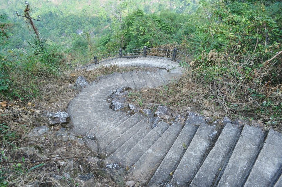 Photo of living root briedge, Cherrapunjee, Meghalaya, India by Akshansh Singh