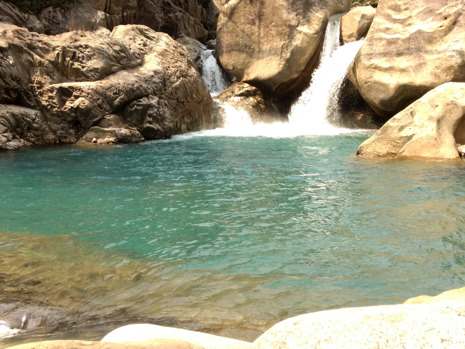 Photo of living root briedge, Cherrapunjee, Meghalaya, India by Akshansh Singh