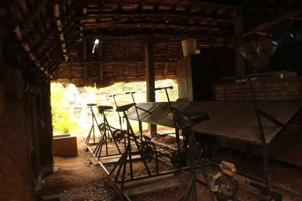 Photo of Sadhana Forest, Auroville, Tamil Nadu, India by Akshansh Singh