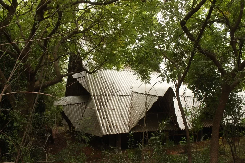 Photo of Sadhana Forest, Auroville, Tamil Nadu, India by Akshansh Singh